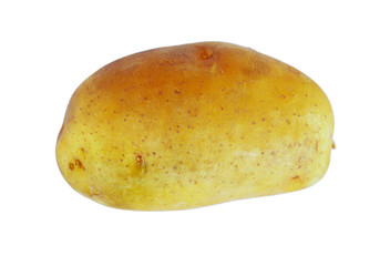 potato on white background 