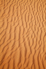 Red sand desert