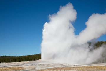 Geyser