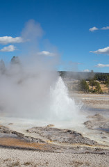 Geyser