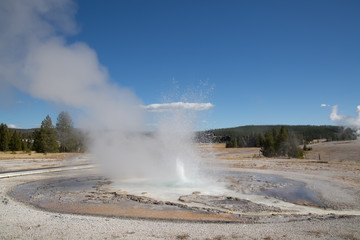 Geyser
