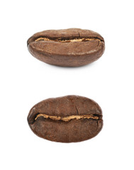 Single coffee bean isolated