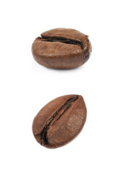 Single coffee bean isolated