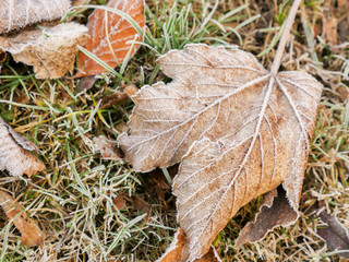 Rime