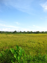 Blockhuse in Jiangmen, China