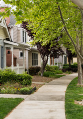 Tree lined street in California residential neighborhood © steheap