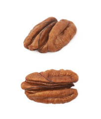 Single pecan nut isolated