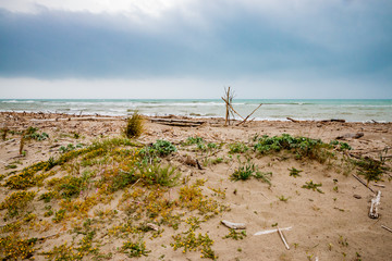 Plage du Parc naturel régional de la Maremma en Toscane