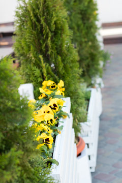 Street cafe flowers and herbs decor concept.