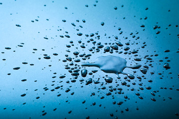 Liquid or water drops splash on the blue floor ,abstract background