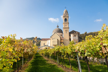 Fototapeta na wymiar Marano di valpolicella, Italy