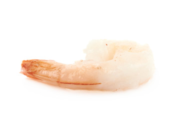 Single shrimp isolated