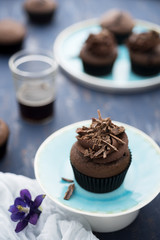 Devil's food cupcakes