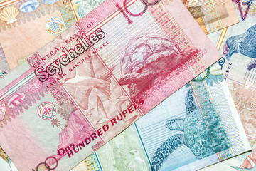 seychelles rupee bills currency background