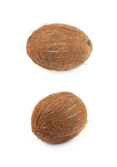 Single whole coconut isolated
