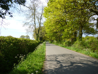 Obraz premium English country road or lane