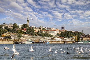 Belgrade Downtown Panorama With Tourist Port Viewed From Sava River Perspective - obrazy, fototapety, plakaty