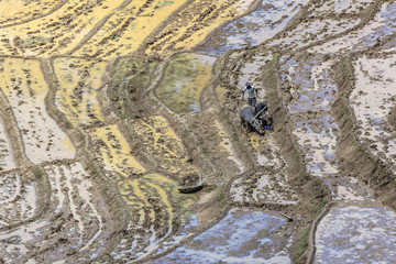 farmer works on rice paddies in terracced fields