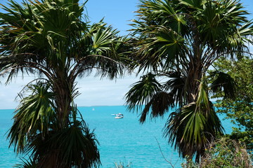 Amazing view of the Florida Keys