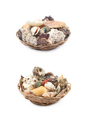 Wicker basket full of sea shells