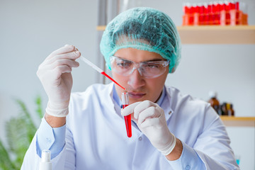 Young doctor working on blood test in lab hospital