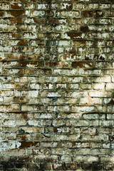 Old peeling brick wall textured