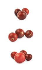 Pile of red cranberries isolated