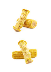 Composition of two corncobs
