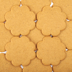 Surface coated with multiple gingerbreads