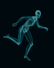 X-ray anatomy of running woman