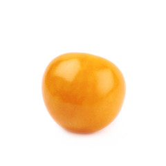 Single physalis fruit isolated