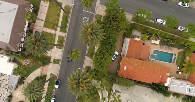 Aerial view of Beverly Hills road with palms, California