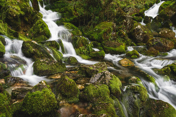 Moss covered stones in an river during springtime