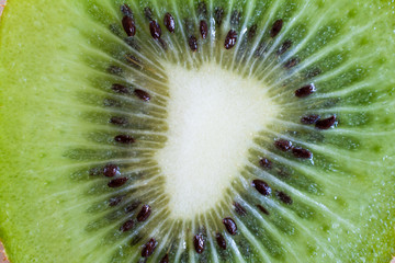 Fresh kiwi fruit flesh closeup.