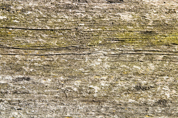 Old rusty wooden texture background