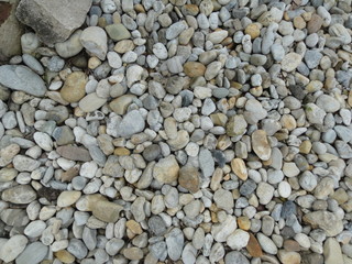 Hungarian nature photography