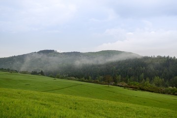 Misty morning with the view to the fog on meadow. Slovakia