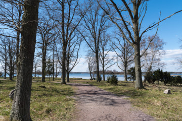 Winding walkway by seaside