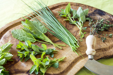 frische Kräuter in der Küche
