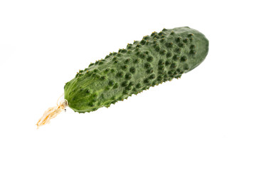 Cucumber isolated on white background