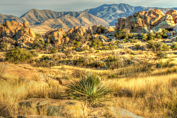 Texas Canyon, Arizona