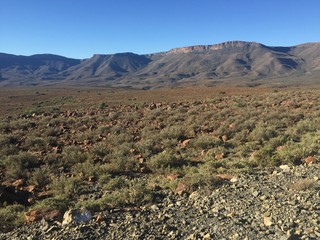 Karro Mountains