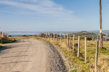 Road on a coast of Chiloe island, Chile