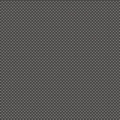 Even and refined Black and white seamless texture.