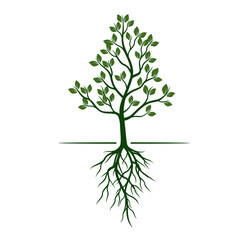 White Trees with roots on green background. Vector Illustration.