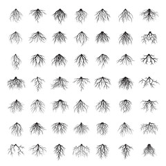 Naklejka premium Big set of black roots. Vector Illustration.
