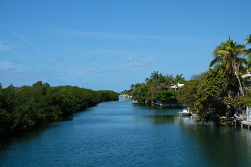 Landscape of the Florida Keys