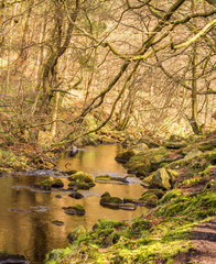Springtime walk through woodand and waterfalls near Hebden Bridge, Yorkshire, UK