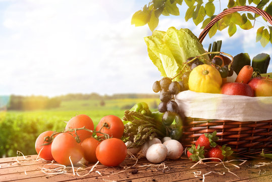 Fruits and vegetables on table and crop landscape background lateral