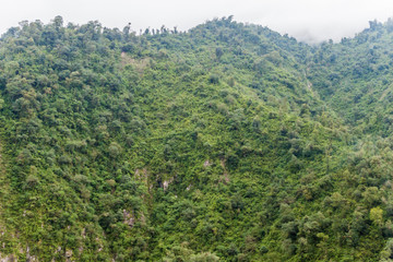 Mountains covered with a lush forest near San Miguel de Tucuman, Argentina
